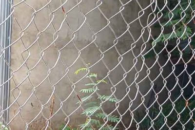 BÁN 60M2 ĐẤT TIỂU LA KIỆT 3M