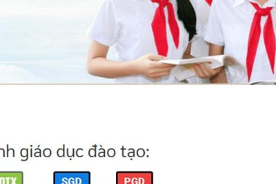 Tạo website giáo dục Viettel Ngũ Hành Sơn